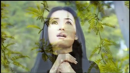 Video - BÀI TÌNH CA CHO KỶ NIỆM (Loan Châu)