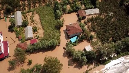 Samsun'daki sağanak sebebiyle fındık bahçeleri su altında kaldı