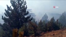 Kütahya'daki ikinci orman yangını sürüyor