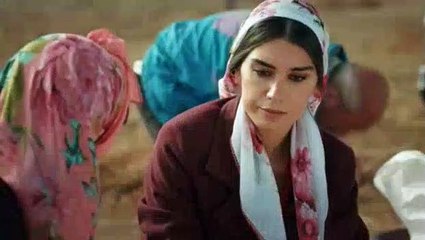 Novela Amor y Odio Capítulo 6