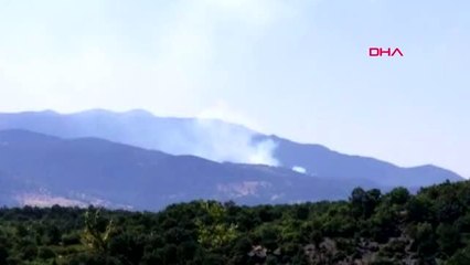 KÜTAHYA Gediz'de orman yangını