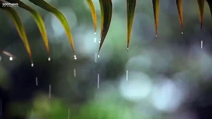 수성지구출장안마 -후불100%ョOiOV2671V8135｛카톡ZHF526｝  수성지구전지역출장안마 수성지구오피걸 수성지구출장마사지 수성지구안마 수성지구출장마사지 수성지구출장콜걸샵 ◦≉⊄수성지구출장샵