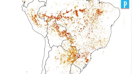 Yann Arthus-Bertrand : «On a perdu le combat contre le changement climatique»