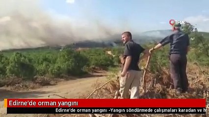 Edirne'de orman yangını
