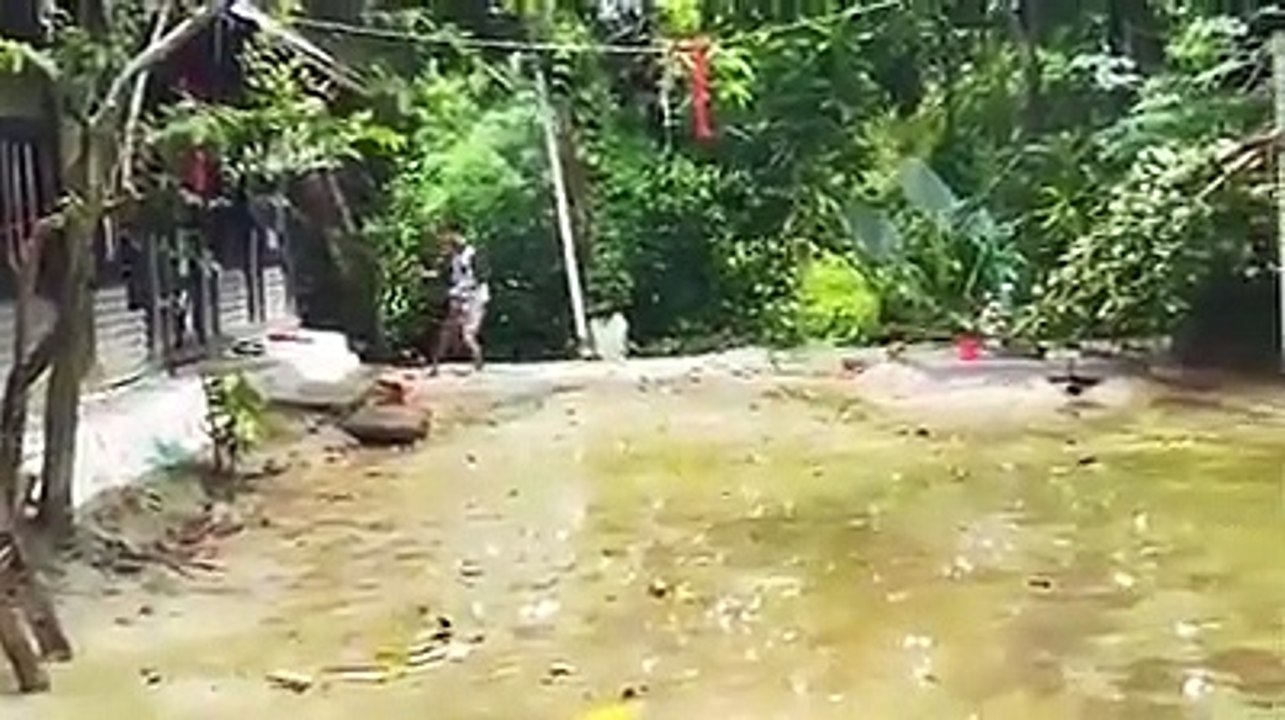 funny video