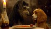 Lady and the Tramp on Disney+ - Official Trailer