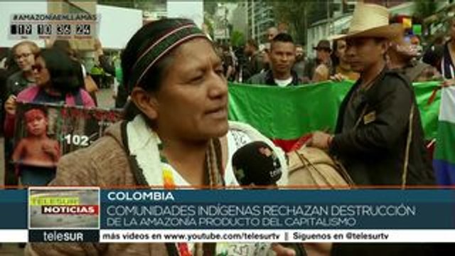 Organizaciones colombianas se movilizan en defensa de la Amazonía