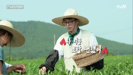 본투비 연예인 효리? 일로 만난 재석의 반응은 (우욱)