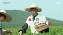 본투비 연예인 효리? 일로 만난 재석의 반응은 (우욱)