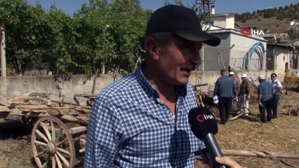 - Hasat festivalinde renkli görüntüler