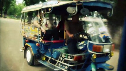 Il Siis Degli Insetti