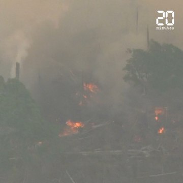 Incendie en Amazonie: Le «poumon de la planète» est en feu