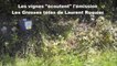 Balade en trottinette électrique tout-terrain : quand les vignes "écoutent" Les Grosses têtes de Laurent Ruquier...