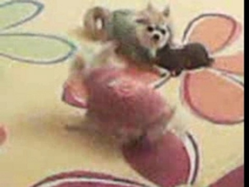 Virgil et Mia jouent !!!