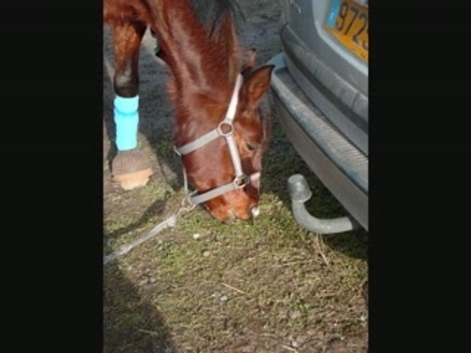 Chabalettes hem 27 janvier 2008