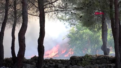ANTALYA Idyros Antik Kenti'nde yangın korkuttu