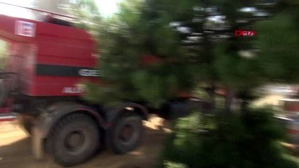 Kütahya'da orman yangını