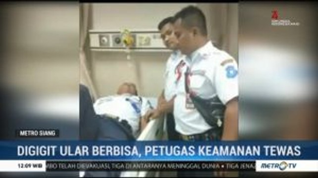 Niat Bantu Warga, Seorang Satpam Tewas Digigit Ular Berbisa
