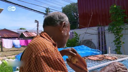 Thailand and the fallout from mass tourism - DW Documentary 05-06-2019