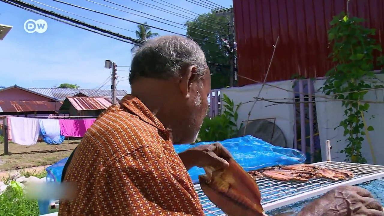 Thailand and the fallout from mass tourism - DW Documentary 05-06-2019