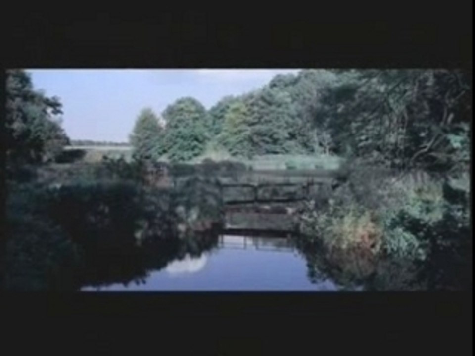 Die Ärzte - Deine Schuld