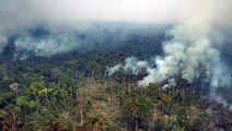 Forças Armadas iniciam combate a incêndios na Amazônia