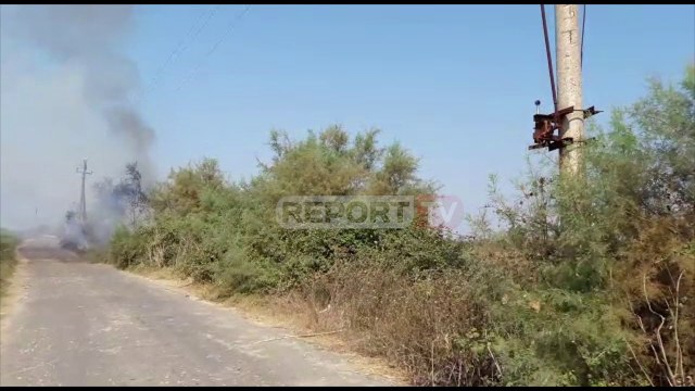 Fieri/ Ndezin zjarr për të pastruar arën, flakët djegin rrjetin elektrik dhe lënë fshatin pa energji