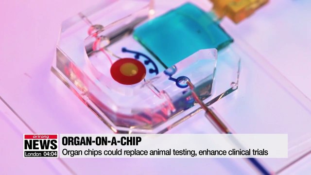 Organ chips could replace animal testing, enhance clinical trials