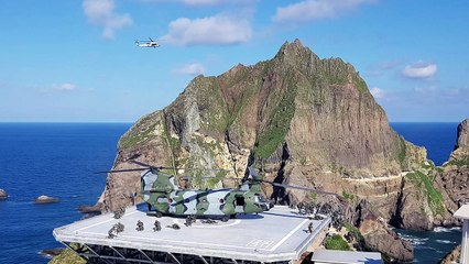 해군, 독도방어 훈련 전격 돌입...해병대·특전사도 참여 / YTN