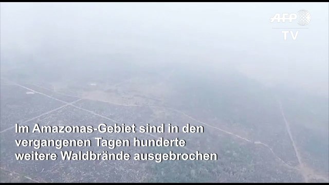 Hunderte neue Feuer im Amazonas ausgebrochen