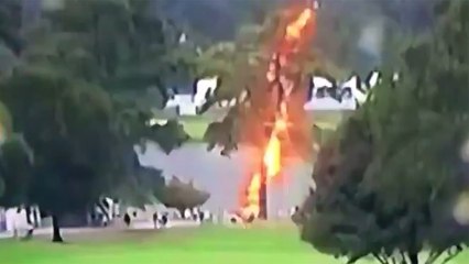 Sığındıkları ağaca yıldırım düştü: 6 kişi yaralı