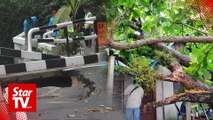 Road collapses again after floods hit Penang