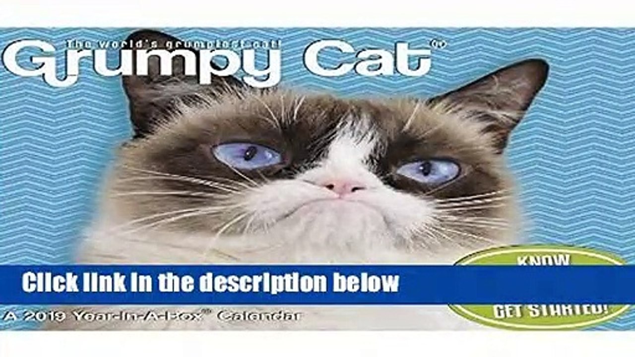 R.E.A.D Grumpy Cat Year-in-A-Box (2019) D.O.W.N.L.O.A.D