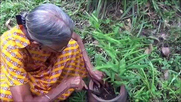 Village Aliments Plein de Poulet de la Sauce préparée dans mon Village par la grand-mère