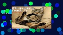 What Cats Teach Us Calendar