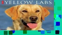 Just Yellow Labs Calendar (Just (Willow Creek))