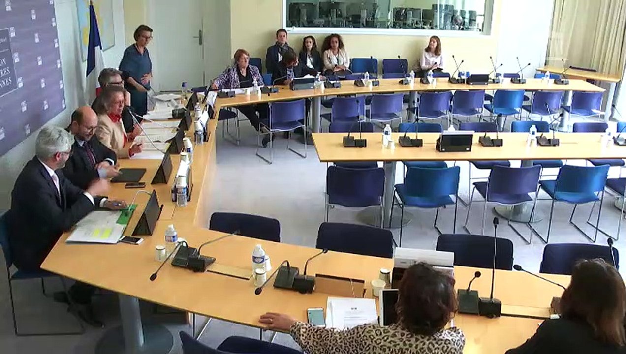 Commission des affaires européennes : Libre-échange entre l’Union européenne, l’Australie et la Nouvelle-Zélande - Mardi 7 mai 2019