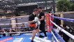 CAN DAVE ALLEN KO LUCAS BROWNE? - THE WHITE RHINO SMASHES THE PADS WITH DARREN BARKER
