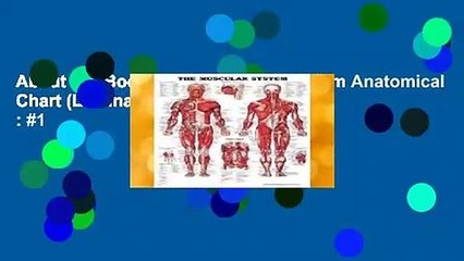 About For Books  The Muscular System Anatomical Chart (Laminated)  Best Sellers Rank : #1