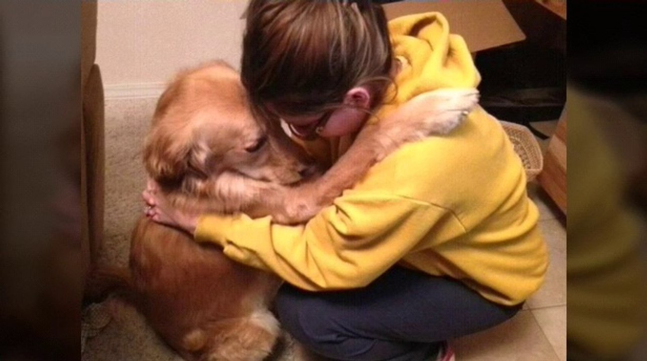 Dogs meeting their owners after a long time just try to control your cry