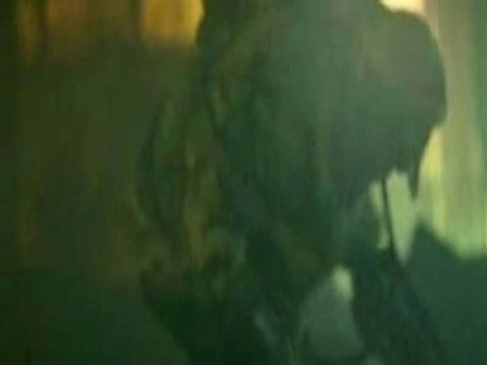 1234duRap Kenza Farah Feat Sefyu _ Lettre Du Front