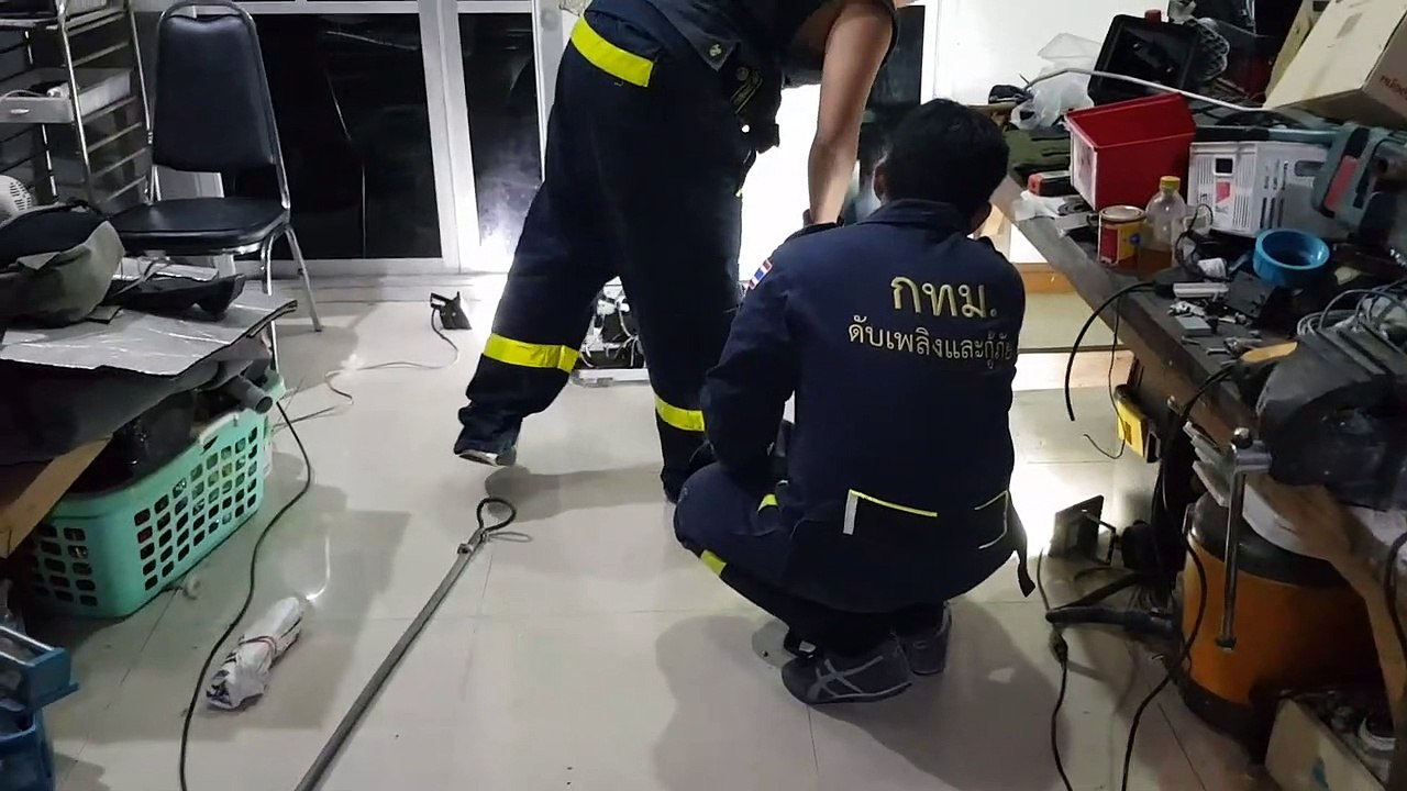Family dog finds snake behind fridge in southern Thailand