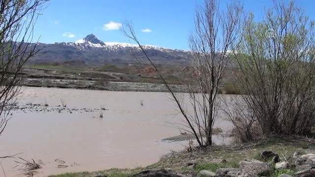 Aras Kuş Cenneti'nde 11 Yılda 105 Bin Kuş Halkalandı