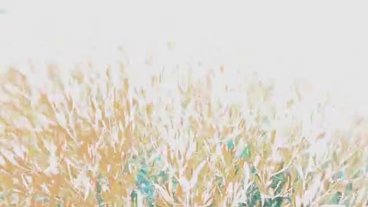 Naran velley pakistan the most beautiful dariya kunhar pakistan