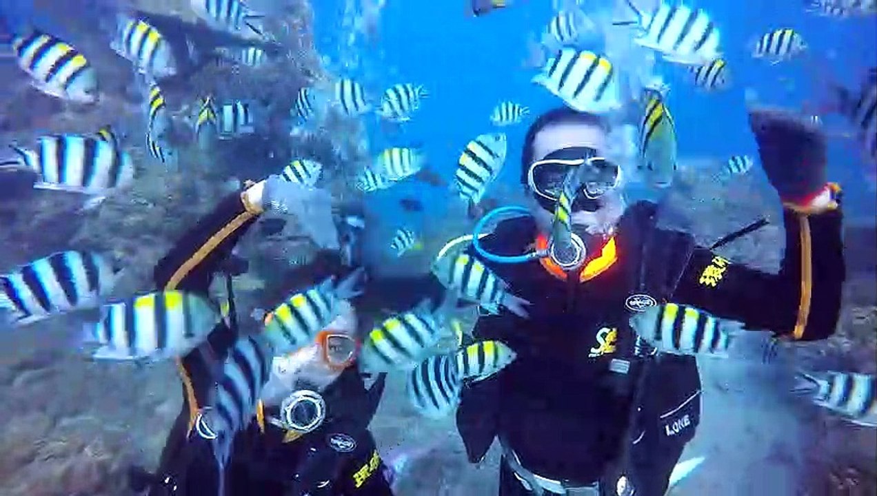天津_志遠_張銳_墾丁體驗潛水
