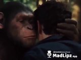 Meme en vídeo del batacazo del Barça en la Champions League: (Chimpancé)