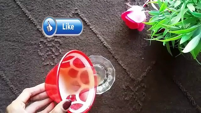 Beauty Tips In Urdu - Just 1 Use Hair Mask I Promise Your Hair Will Grow 10 Time