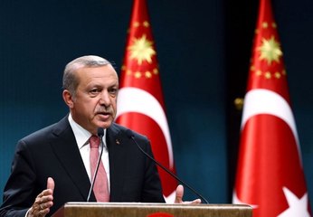 Reform Eylem Grubu, Erdoğan'ın Başkanlığında Yarın Toplanacak