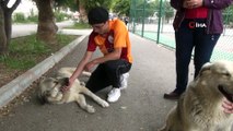 Mersin'de hayvan dostu okul...Bu okulda kediler ve köpekler serbestçe dolaşabiliyor