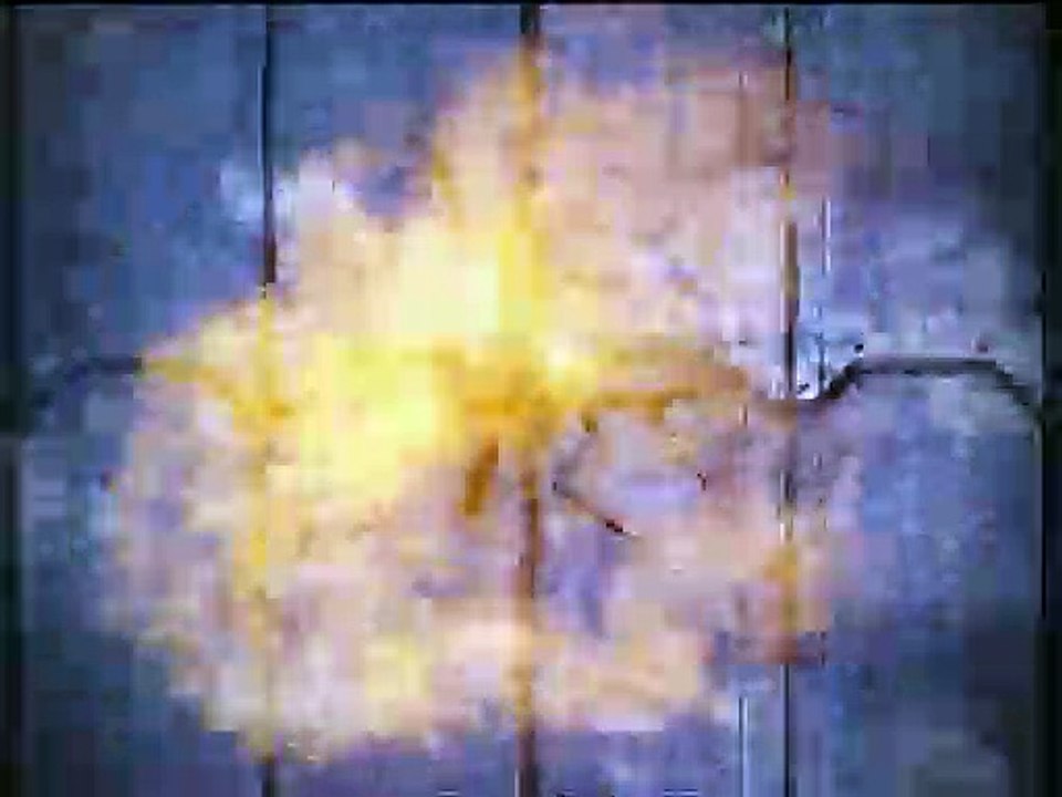 Antonio Rodrigo Nogueira vs Hirotaka Yokoi